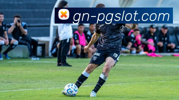 森林舞会官网平台生态图